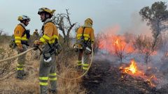 Un grupo de bomberos, este lunes luchando contra el fuego en Extremadura.