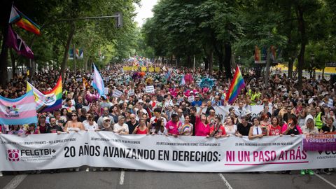 Representantes del PSOE y Sumar portaron la pancarta principal junto a caras conocidas del colectivo en una cita eminentemente festiva pero con componentes de crítica política