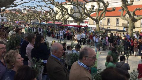 SEMANA SANTA EN BARBANZA, PROCESIN DE LA BORRIQUITA Y BENDICIN DEL DOMINGO DE RAMOS