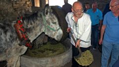 Demostracin de molienda de aceituna al estilo tradicional en el molino artesanal de Bendill, accionado por un burro