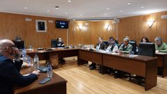 La teniente de alcalde Reyes Abella sustituy� al alcalde Claudio Garrido cuando decidi� abandonar el sal�n plenario para no votar una reprobaci�n hacia �l