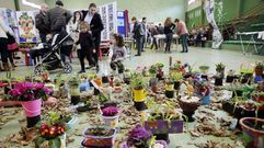 B�scate en Expociencia