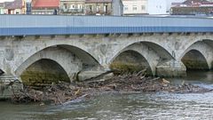 Ramas y troncos de �rboles acumulados en el L�rez a su paso por el puente de O  Burgo, en Pontevedra, tras los sucesivos temporales