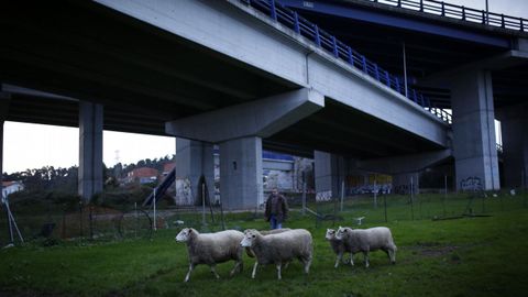 FRANCISCO MU��Z SU�REZ EN SU FINCA BAJO EL VIADUCTO DE LA TERCERA RONDA
EN EL MARTINETE