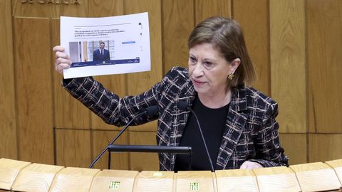 La diputada Elena Espinosa, en una imagen de archivo de una de sus intervenciones ante el pleno del Parlamento.