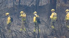 Efectivos del cuerpo de bomberos trabajan para controlar el incendio a la espera de una mejor evoluci�n del viento