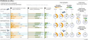El informe en cifras