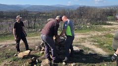 Varios vecinos de San Cristovo, en Monterrei, crean un sistema de evacuaci�n en caso de icnendio forestal y limpian los senderos
