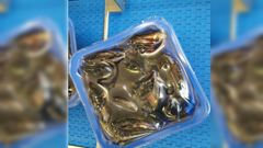 La bandeja con la que Opmega revoluciona el envasado del mejill�n fresco es apta para cocinarlo en el microondas y prolonga la vida del bivalvo un 40 %