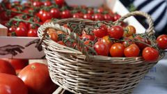 Una cesta con tomates.