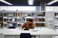 Las zonas de estudio cuentan con conexiones a la red