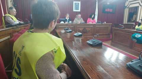 Una representación fue recibida en el Concello por tres concejales del PSOE