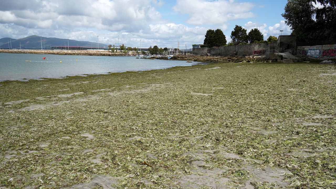 Las playas de Vigo se tiñen de verde tras el paso de la borrasca Erin