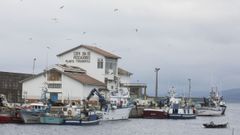 Puerto de Malpica