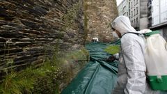 Imagen del 2009, cuando se usaban herbicidas con glifosato en las plantas de la Muralla de Lugo