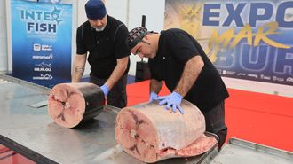 Interfish organiza ronqueos de pez espada como este para demostrar que, adems de verstiles en la cocina, los grandes migradores son saludables porque el selenio que contienen neutraliza el mercurio