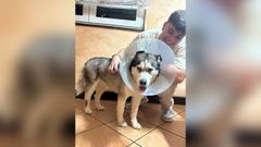 Kira ya est con su familia en Corcubin