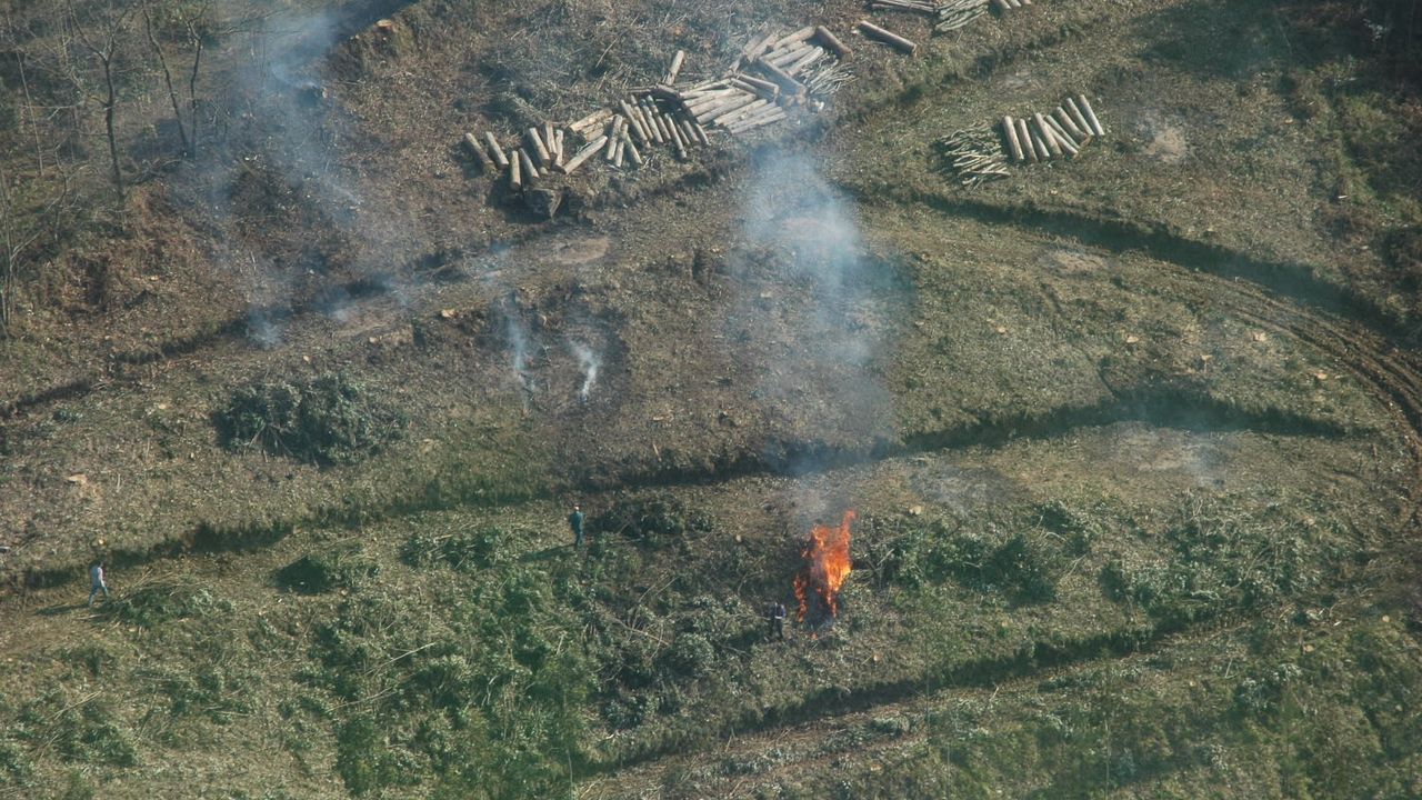 Medio Rural suspende temporalmente las quemas agrícolas y forestales de particulares como medida preventiva