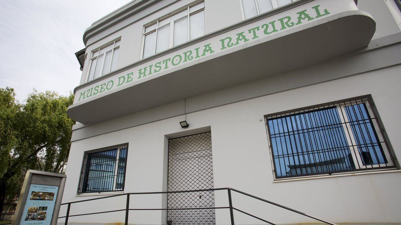 El Concello destina 40.000 euros para el museo de Historia Natural