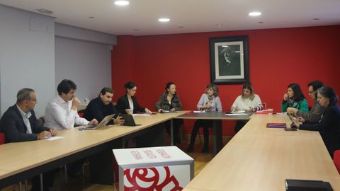 Comisi�n Interparlamentaria de la FSA-PSOE