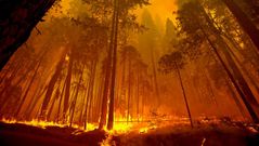 El incendio que asola California, en im�genes