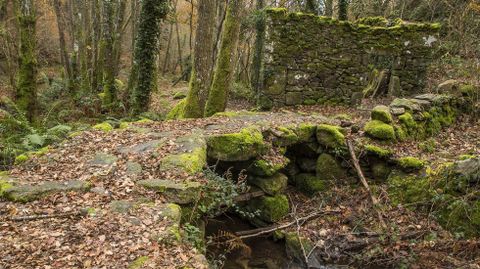 Un puente de piedra tradicional junto a uno de los molinos de Nemesio da Boca
