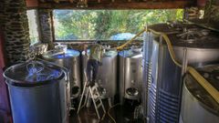 Los cambios se asocian a la permanencia cada vez mayor de los vinos en dep�sito