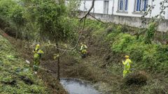 Limpieza del arroyo de R�o Seco a su paso por el casco urbano, en una imagen de archivo