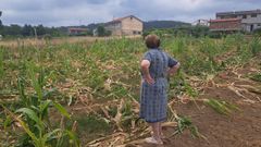 Carmen observa desolada su campo de ma�z