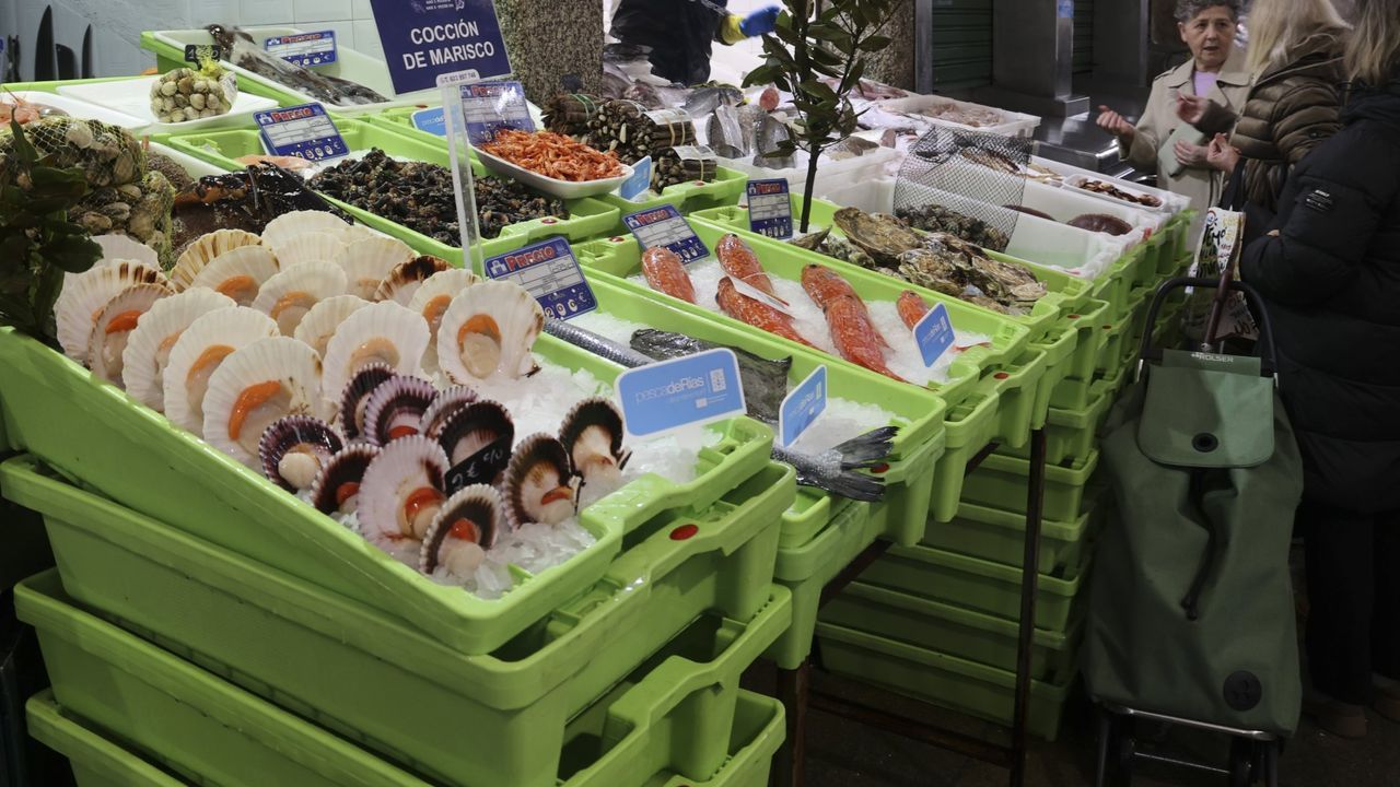 «Se equivocan a la hora de poner los precios al pescado y el marisco»