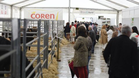 Feria de ganado ExpoLugo, junto a O Vello Cárcere