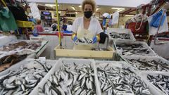 Sardinas y xoubas capturadas por �xeiteiros� en las R�as Baixas, en una pescader�a de la plaza de Cambados (foto de archivo)