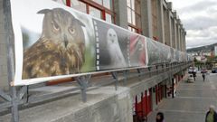 <span lang= gl >Exposicin fotogrfica promovida pola asociacin Os Negativos no Centro Cvico de Xove, en imaxe de arquivo</span>