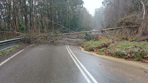 Desprendimiento de tierra en la carretera AC-862, en Mera, Ortigueira