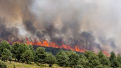 Incendio en La Mierla (Guadalajara).