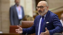 Alejandro Hern�ndez, portavoz de Vox en el Parlamento andaluz