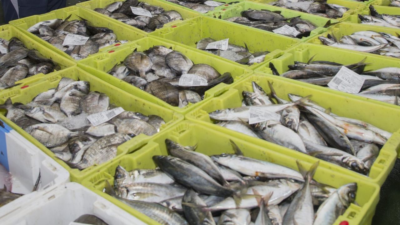 Diez locales de la zona se unen a la campaña «Pesca Saúde»