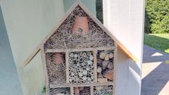 Adem�s del hotel para insectos del centro, los alumnos han fabricado los suyos para llev�rselos a sus casas
