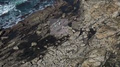 Los dos furtivos, en las rocas con los erizos