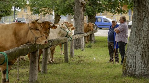 Feiras de Primavera en O P�ramo