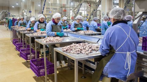 As� se producen 180.000 latas al d�a en la conservera Orbe.