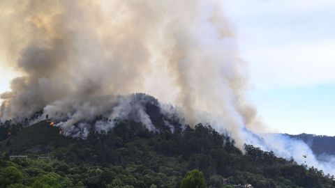 Vista del incendio forestal en la localidad asturiana de Pe�aflor (Grado)