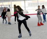 El precio de la entrada incluye el alquiler de los patines. 