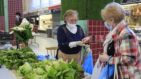 Reapertura del mercado de productores en Quiroga Ballesteros