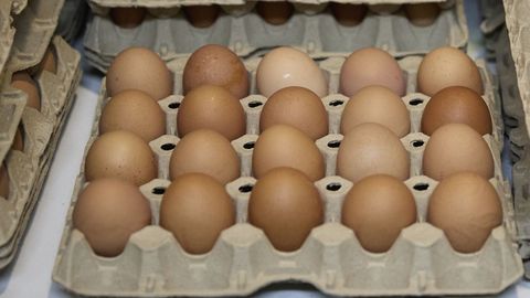 La OCU denuncian que los huevos camperos son m�s caros que los normales, pese a que las gallinas ya no est�n al aire libre