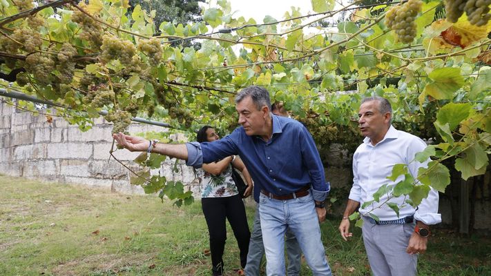 El conselleiro Rom&aacute;n Rodr&iacute;guez junto a Carlos Carri&oacute;n, presidente de Paco & Lola, en una visita a la bodega