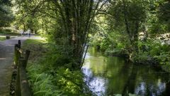 Pasel del r�o Tins, en Outes.