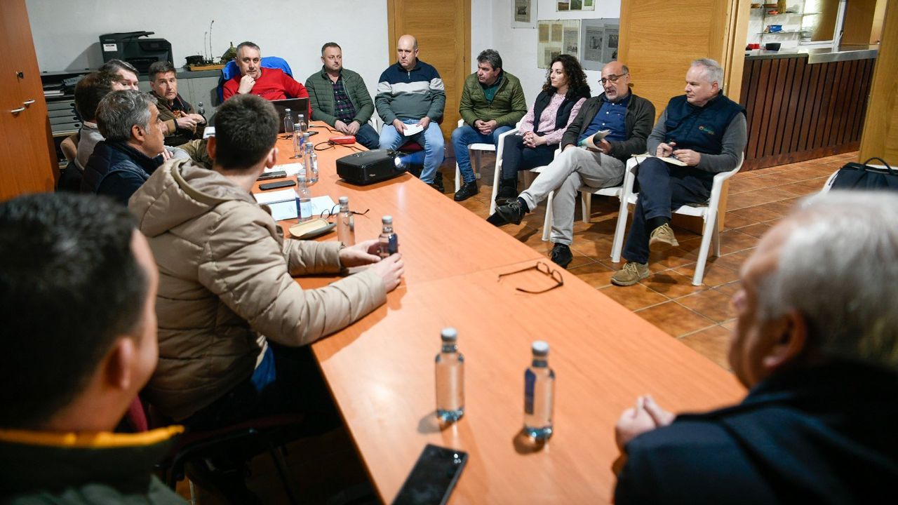 Lalín pide activar un protocolo para prevenir los daños del jabalí