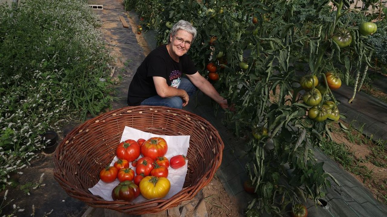 Bibiana, una agricultora por devoción que dejó por estar en la huerta un salario de casi 6 dígitos