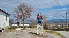 Un meco en la carretera de Manzaneda a Trives